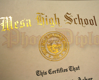 Fake Diploma Raised Gold Foil State Seal and Custom Foil